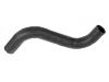 Durite de radiateur Radiator hose:201 501 38 82