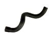 Radiator Hose:64 21 1 388 932