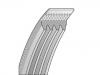 多楔带 V-Ribbed Belt:FR3E-6C301-FA